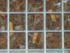 pict0178.jpg