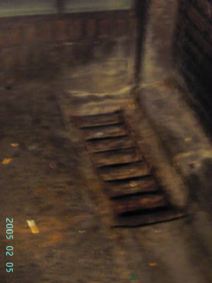 pict0189light.jpg