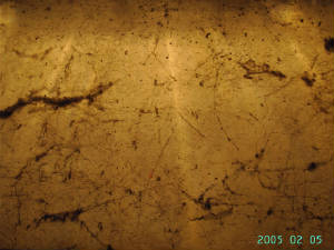 pict0190.jpg